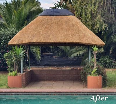 The same poolside gazebo after re-thatching, with a neat conical thatch roof, framed by palms.