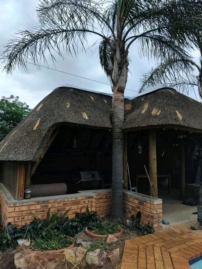 A face-brick home with a steep thatch roof, framed by a tall palm tree.